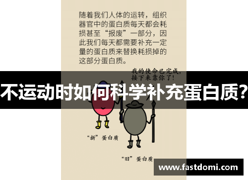不运动时如何科学补充蛋白质？