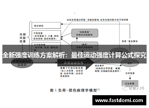 全新强度训练方案解析：最佳运动强度计算公式探究
