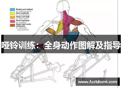 哑铃训练：全身动作图解及指导