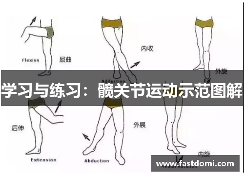 学习与练习：髋关节运动示范图解