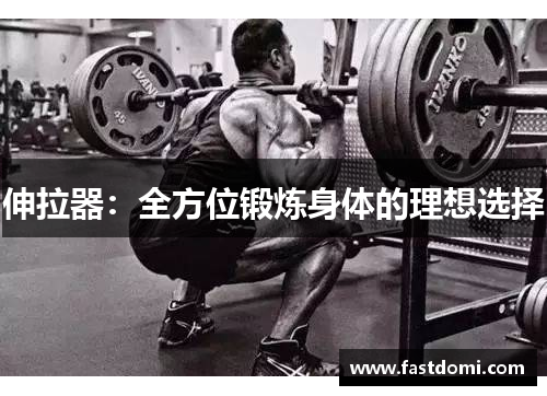 伸拉器：全方位锻炼身体的理想选择
