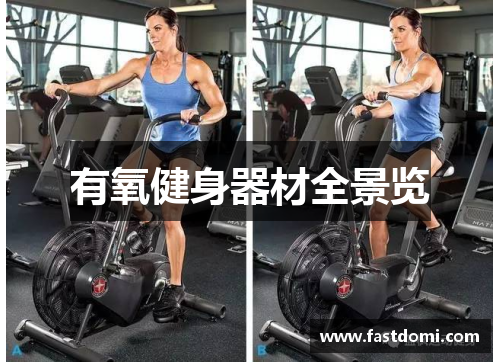 有氧健身器材全景览