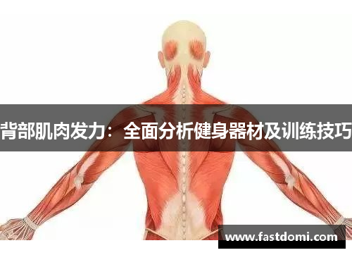 背部肌肉发力：全面分析健身器材及训练技巧