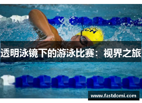 透明泳镜下的游泳比赛：视界之旅